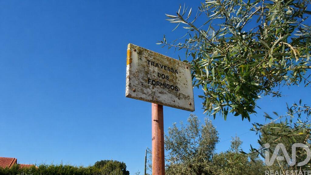 Land in Meia Via - Image 3