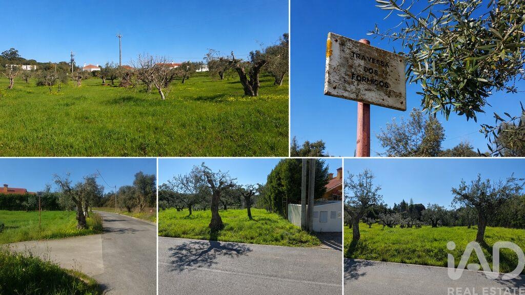 Land in Meia Via