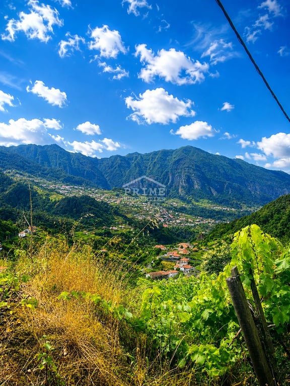 Land in Sao Vicente