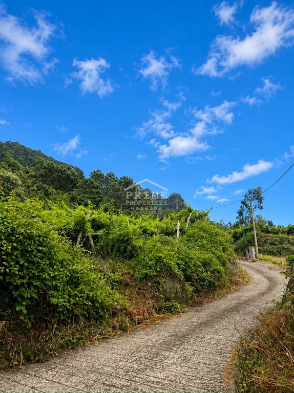 Land in Sao Vicente - Image 2