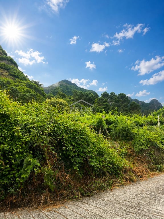 Land in Sao Vicente - Image 3