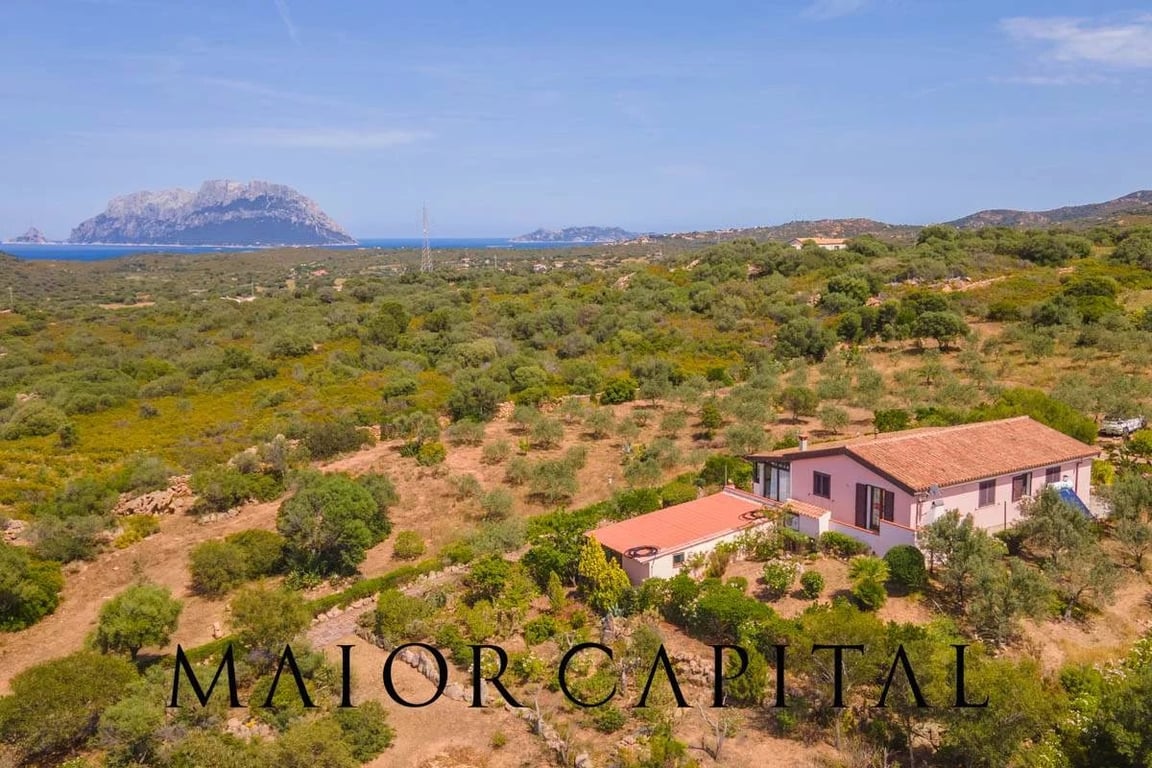 Villa in Capo Ceraso - Image 2