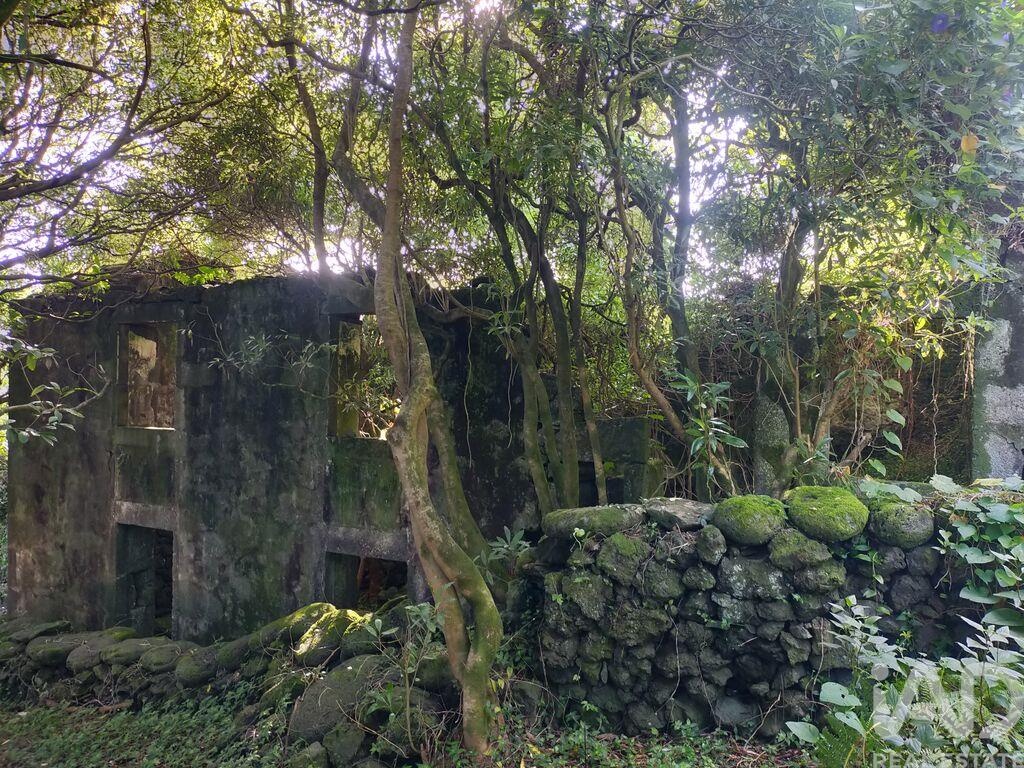 House in Sao Joao