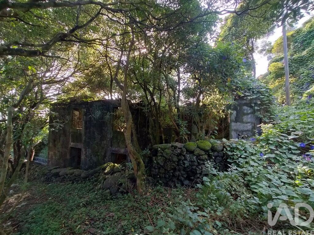 House in Sao Joao - Image 3