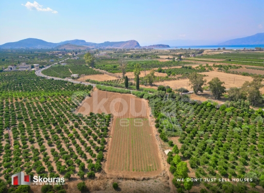 Land in Dhalamanara - Image 3