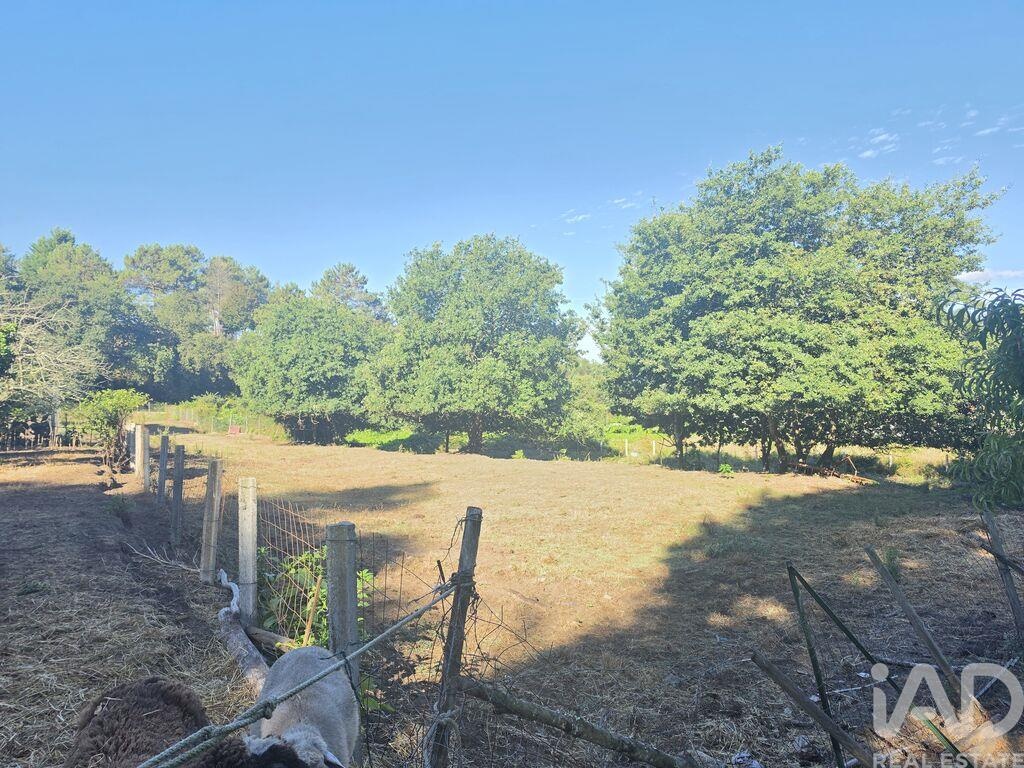 Land in Loivo - Image 2