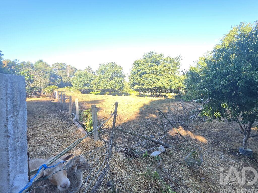Land in Loivo - Image 3