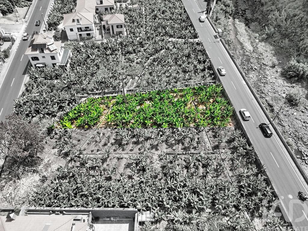 Land in Ribeira Brava - Image 3