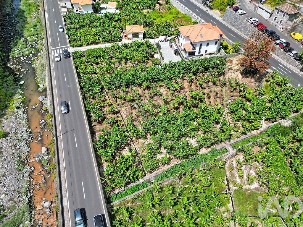 Land in Ribeira Brava - Image 2