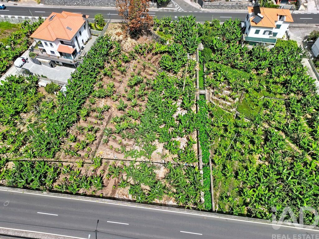 Land in Ribeira Brava