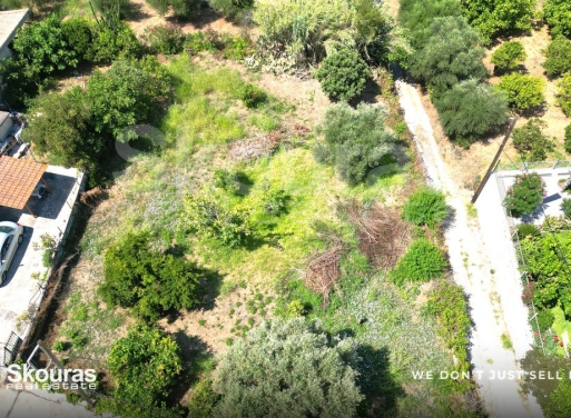 Land in Messini - Image 3