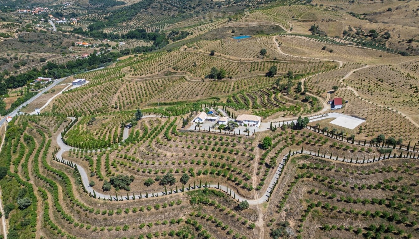 House in Carvalhais - Image 3