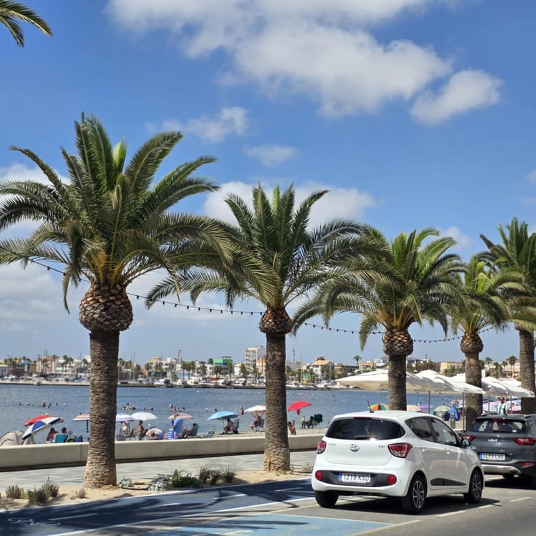 Apartment in Playa Flamenca