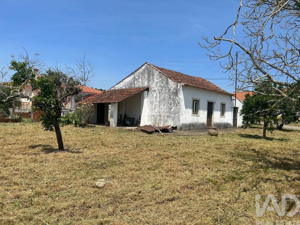 House in Sao Pedro de Tomar - Image 3