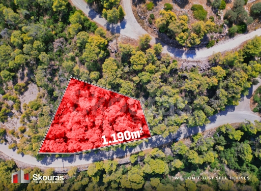 Land in Sofikon - Image 2