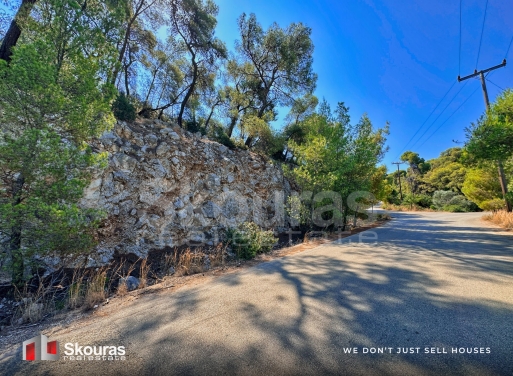Land in Sofikon - Image 3