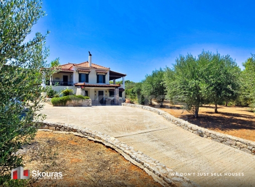 House in Thyni - Image 2