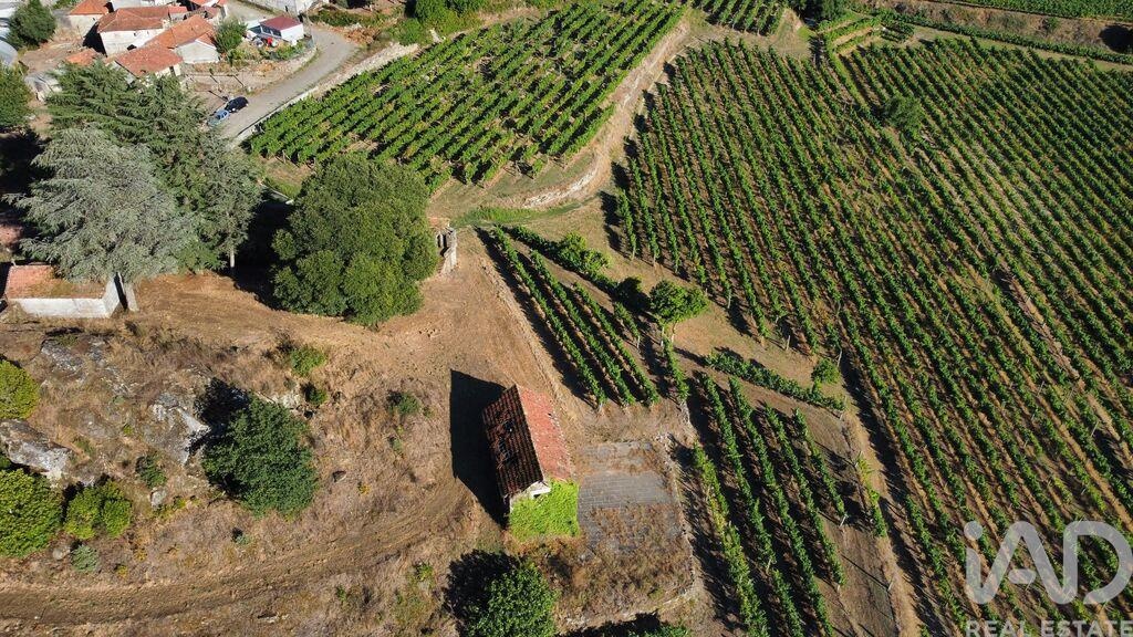 Farm, Ranch or Equestrian in Figueiro (Santiago) - Image 3