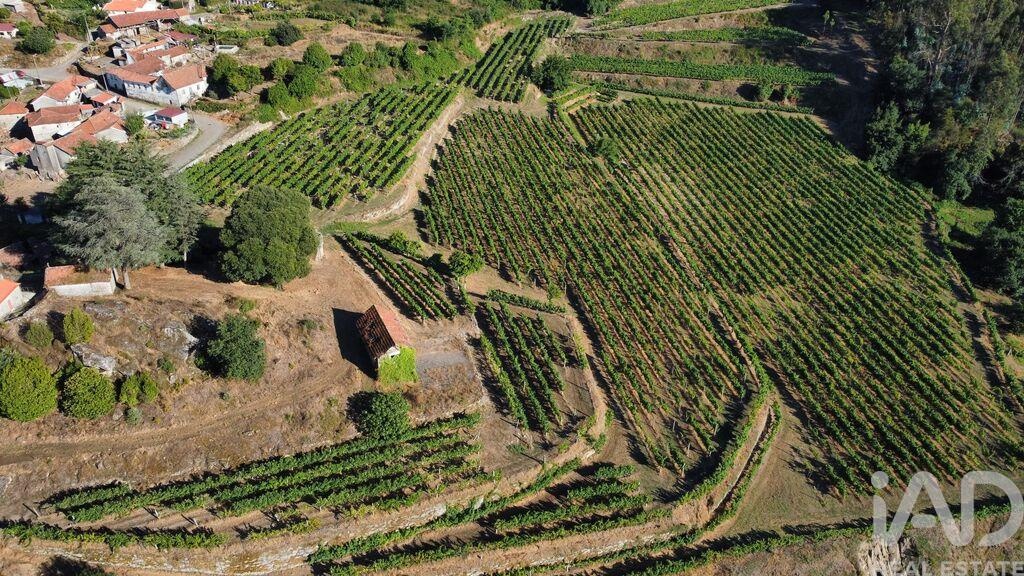 Farm, Ranch or Equestrian in Figueiro (Santiago) - Image 2