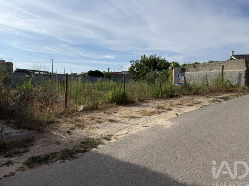 Land in Amor - Image 2