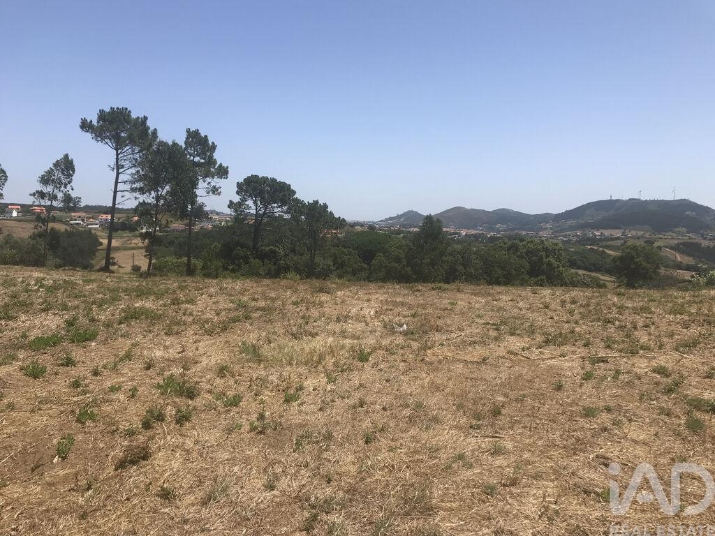 Land in Santo Estevao das Gales