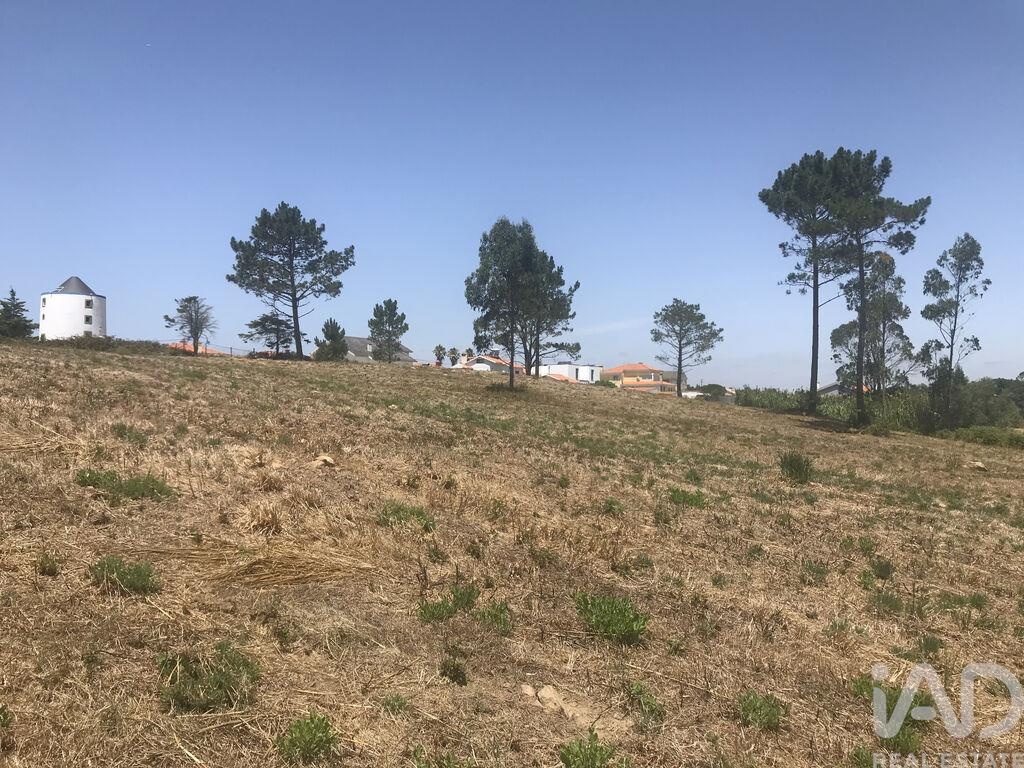 Land in Santo Estevao das Gales - Image 3