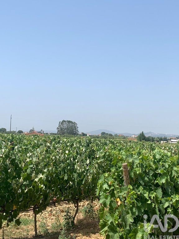 Land in Poceirao - Image 2