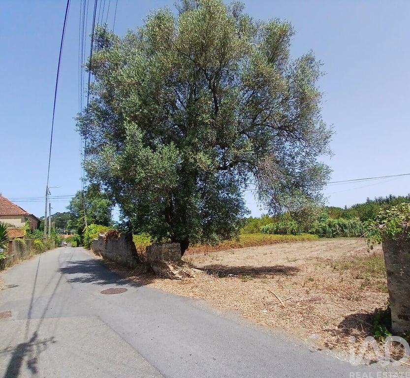 Land in Ouca - Image 3