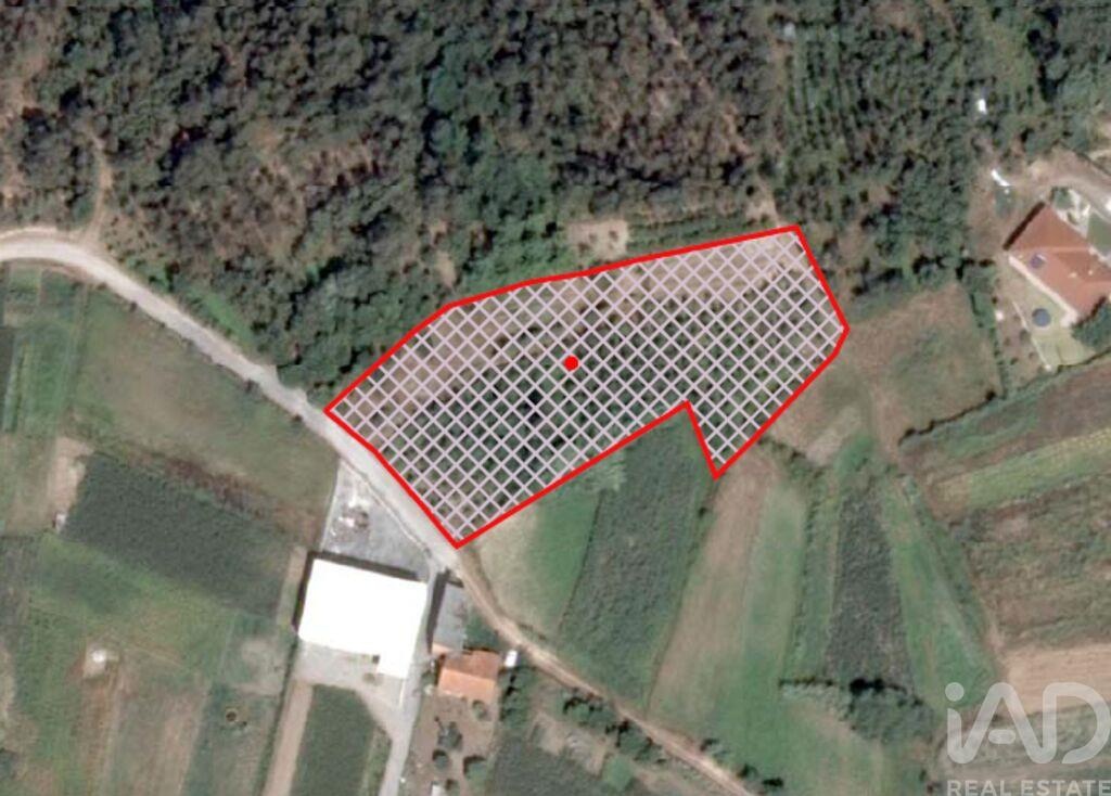 Land in Ortigosa - Image 2