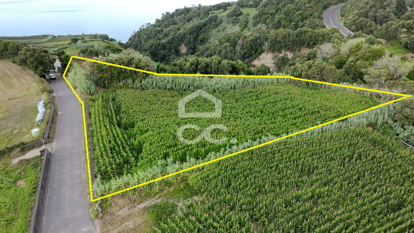 Land in Agua de Alto - Image 2