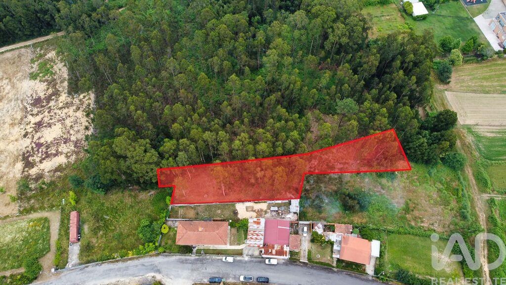 Land in Crestuma