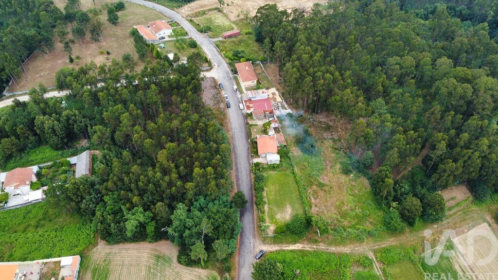 Land in Crestuma - Image 2