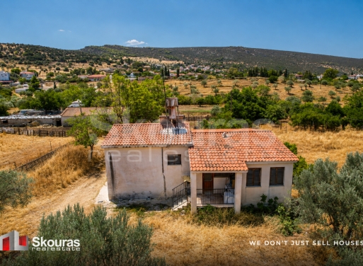 House in Playia