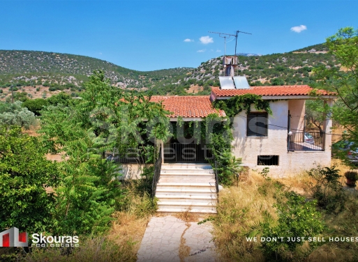 House in Playia - Image 2