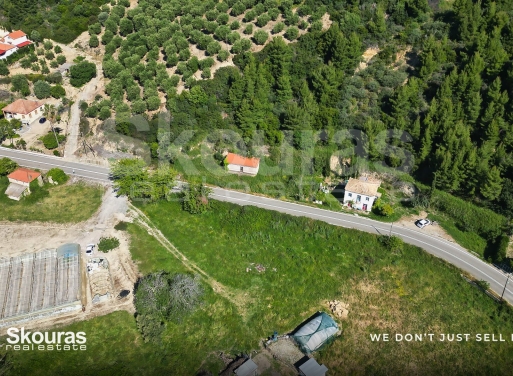 Land in Zacharo - Image 3