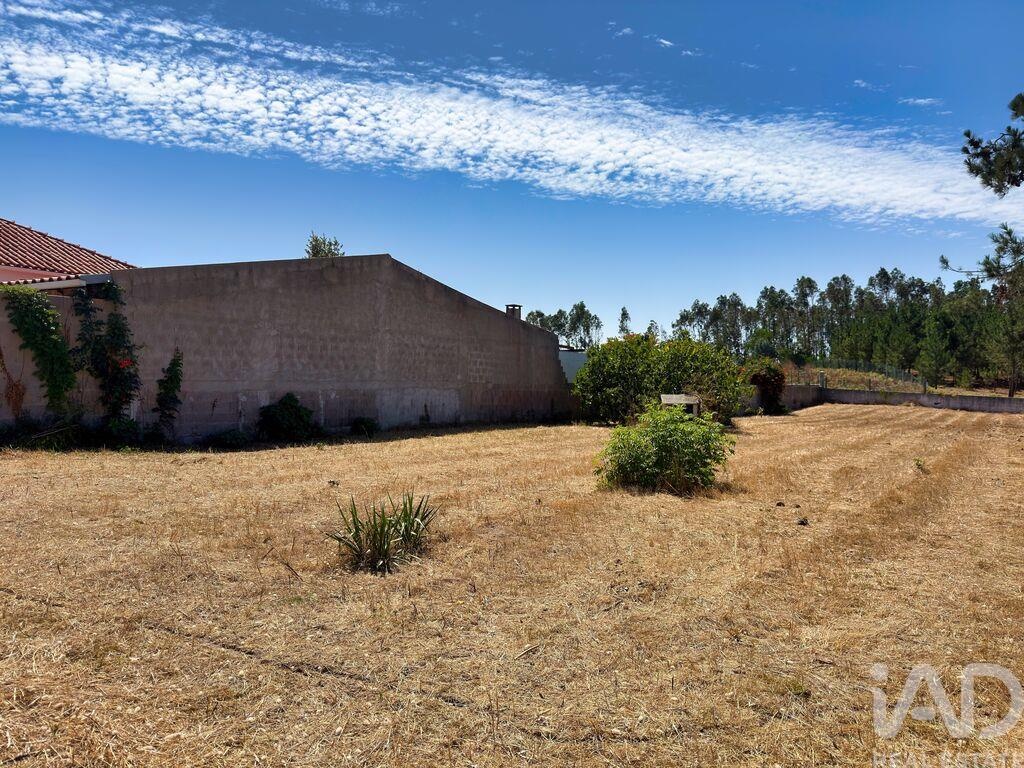 Land in Vieira de Leiria - Image 3