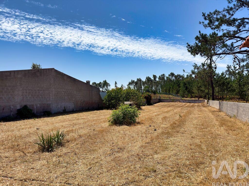 Land in Vieira de Leiria