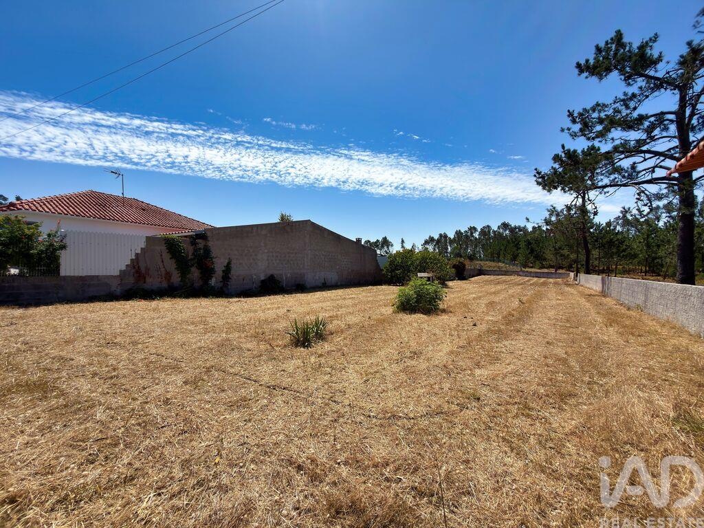 Land in Vieira de Leiria - Image 2