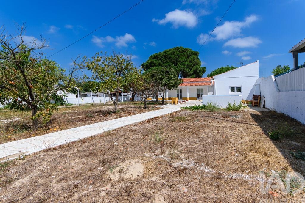 House in Coruche - Image 3