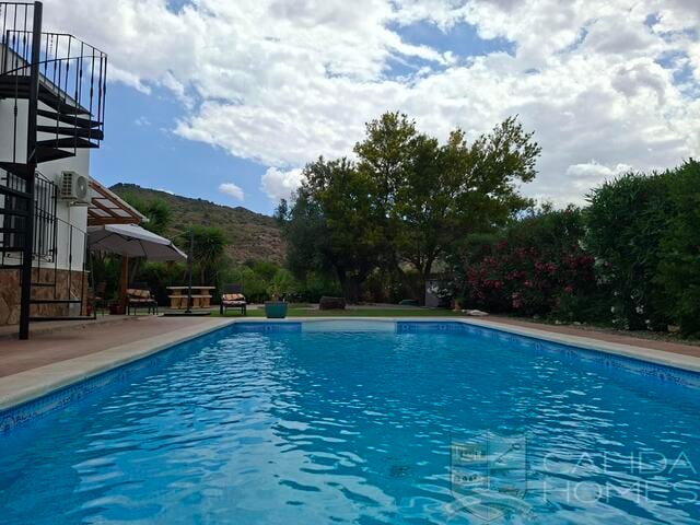 Villa in Arboleas - Image 3