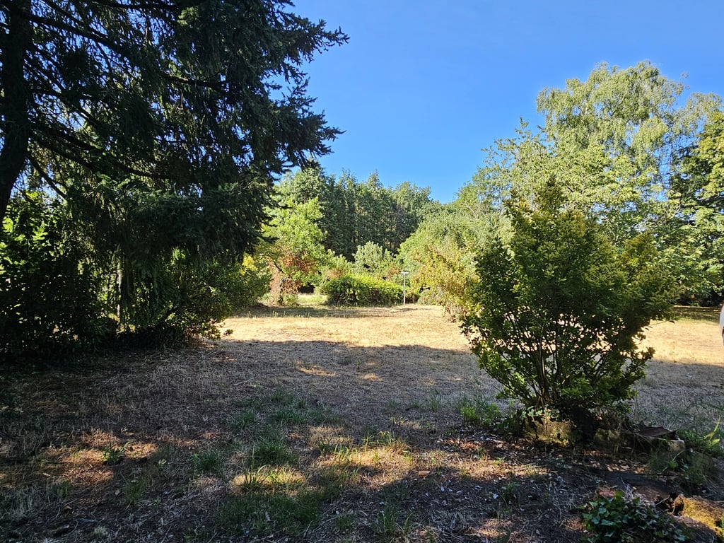 House in Chirac - Image 2