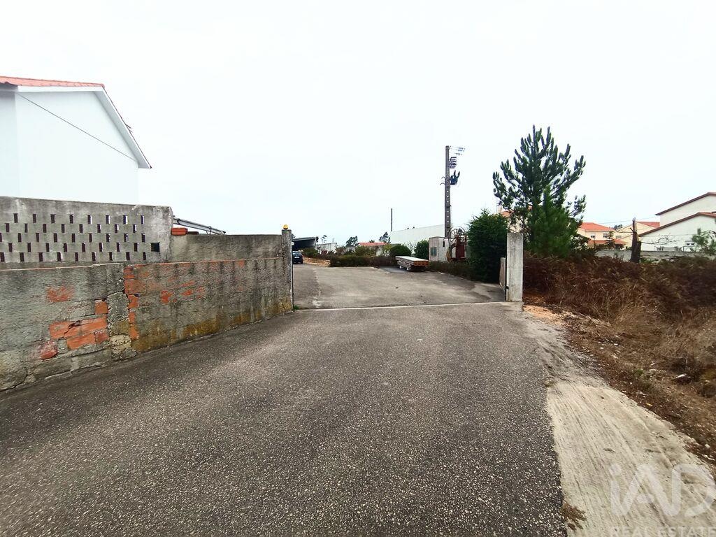 Land in Vieira de Leiria - Image 3