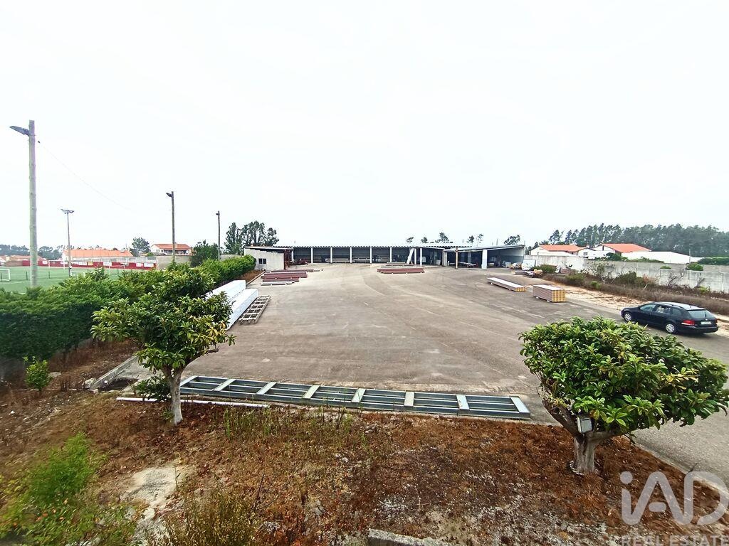 Land in Vieira de Leiria - Image 2
