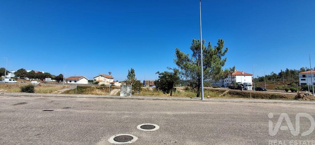 Land in Vila de Rei - Image 3