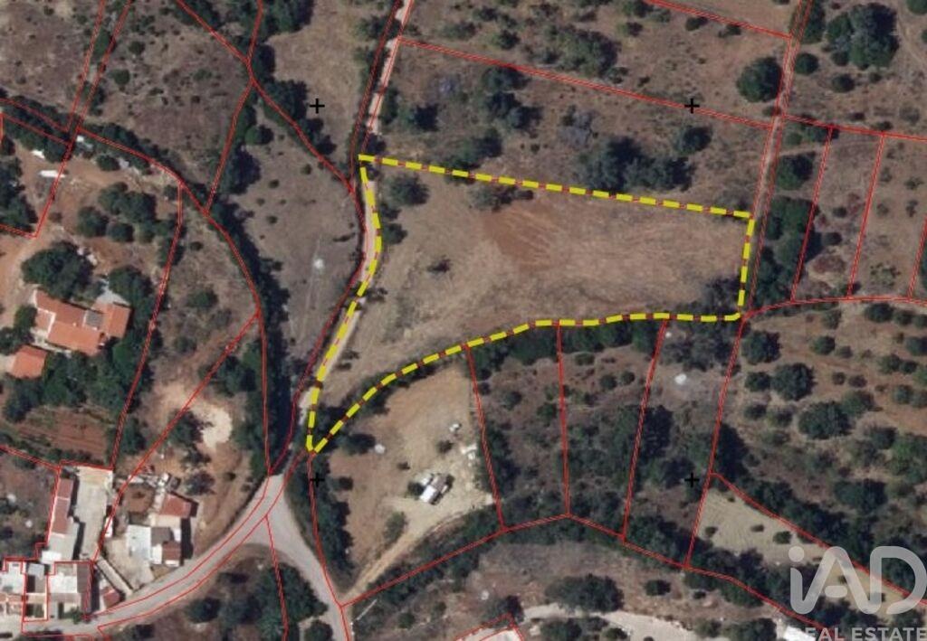 Land in Moncarapacho