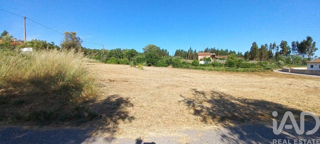 Land in Graca