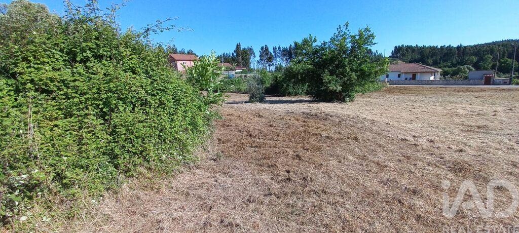 Land in Graca - Image 2