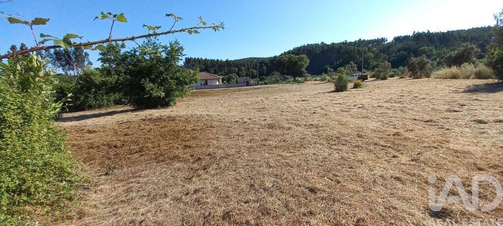 Land in Graca - Image 3