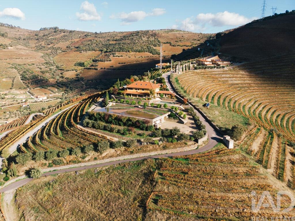 Farm, Ranch or Equestrian in Folgosa - Image 2