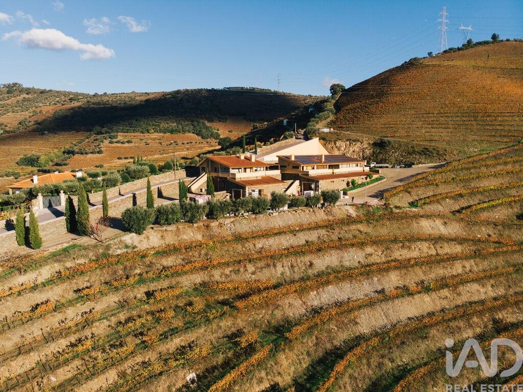 Farm, Ranch or Equestrian in Folgosa - Image 3